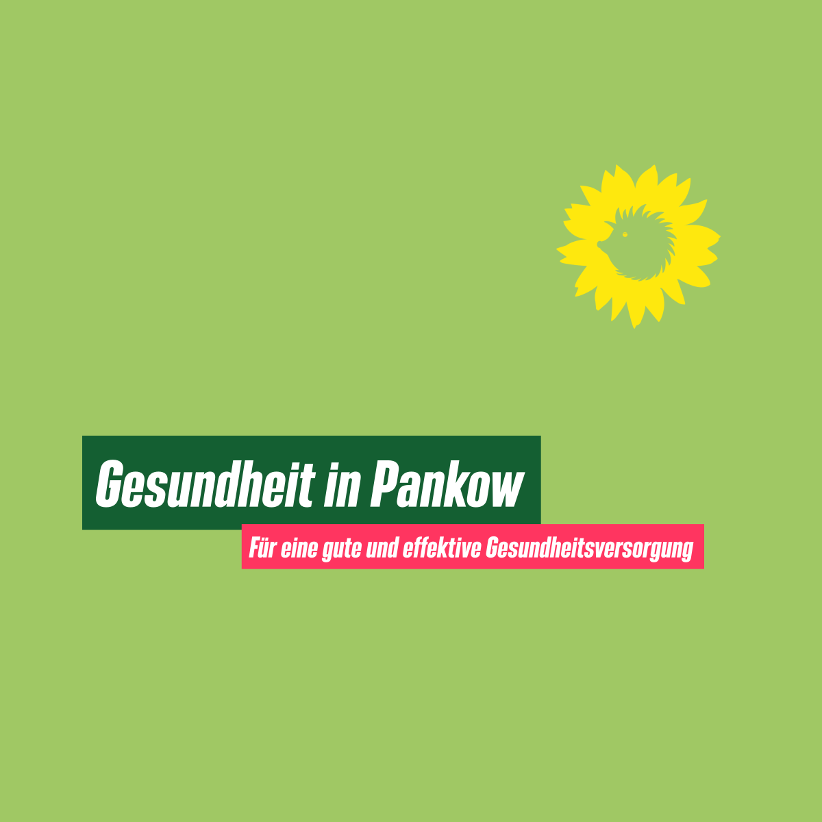 Text: "Gesundheit in Pankow"
