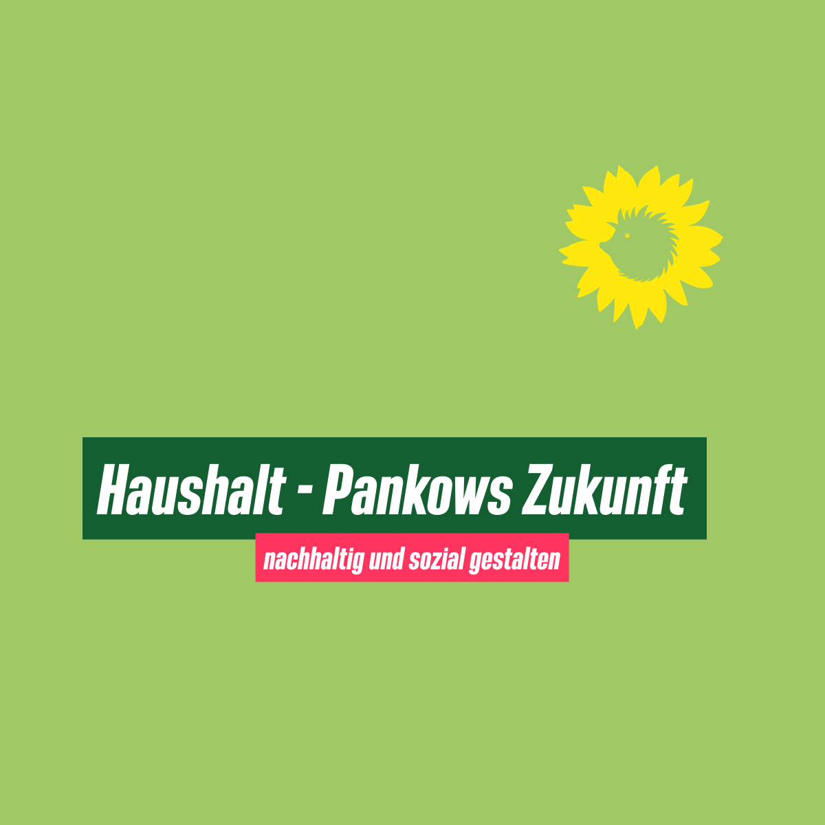 Text: "Haushalt – Pankows Zukunft"