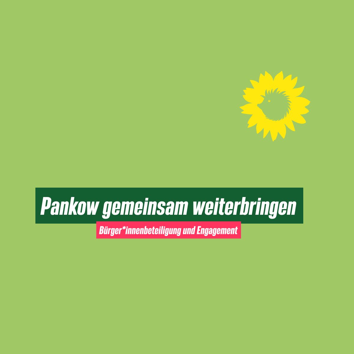 Text: "Pankow gemeinsam weiterbringen"