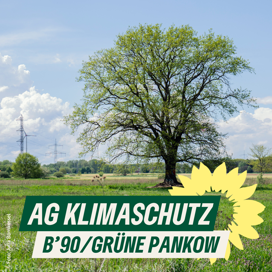 Ein Sharepic: Eine weite wiesenlandschaft mit einem einzelnen großen Baum, im Hintergrund Stromtrassen und ein Windrad. Dazu der Text: "AG KLIMASCHUTZ. B'90/GRÜNE PANKOW."
