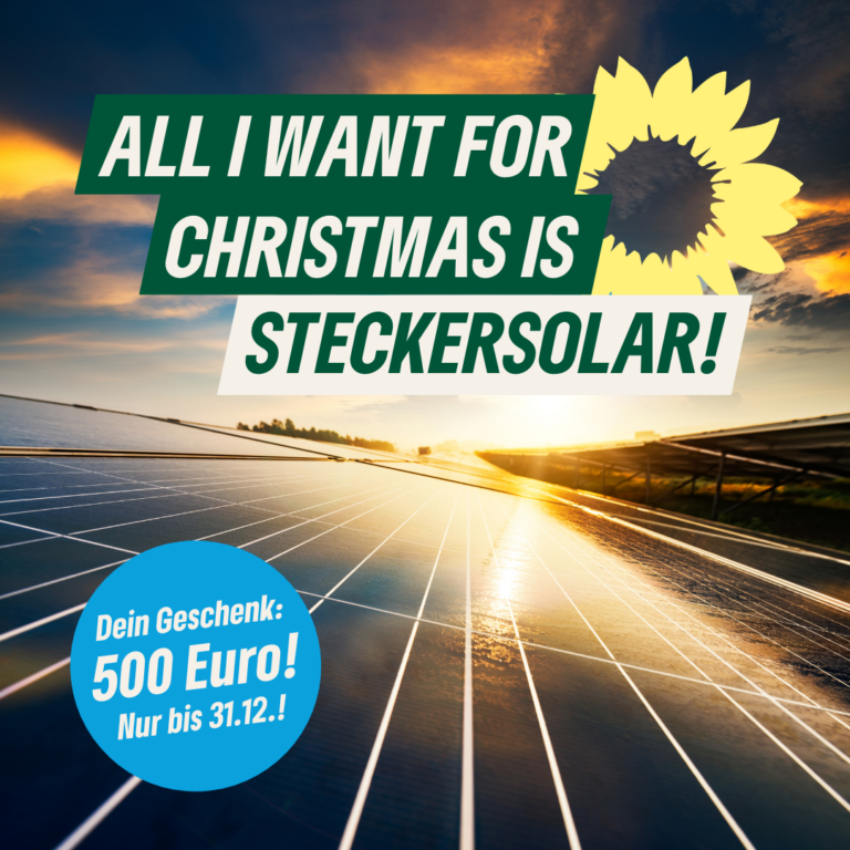 Noch dieses Jahr beantragen: 500 € Förderung für Dein eigenes Solarkraftwerk