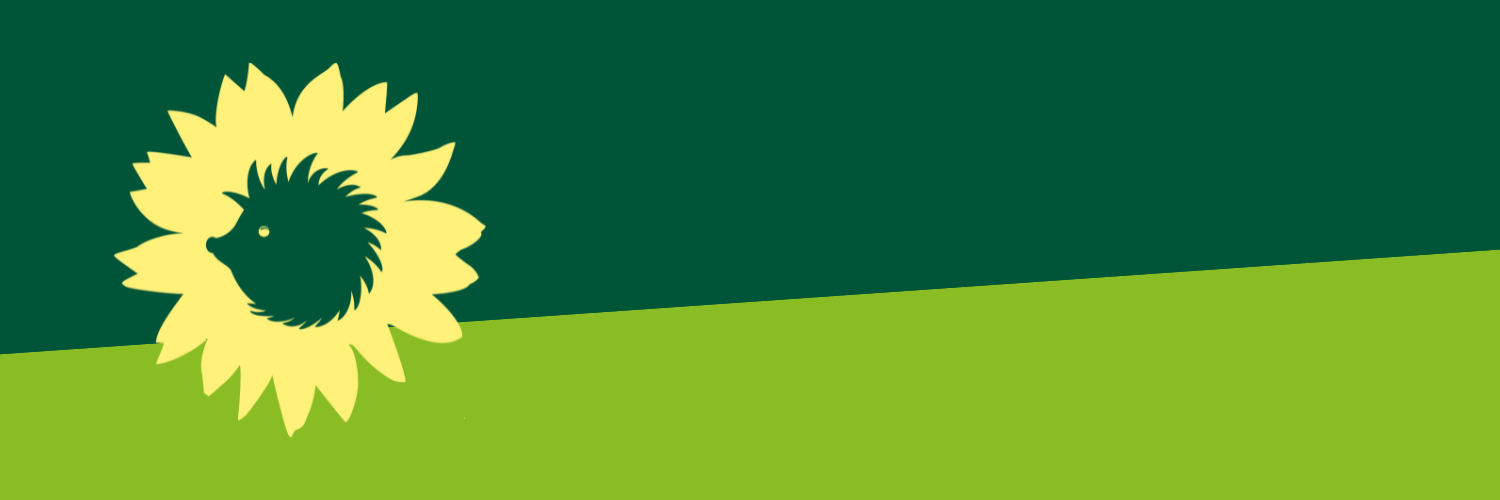 Der Sonnenigel als Logo von B'90/GRÜNE in Berlin auf grünem Hintergrund.