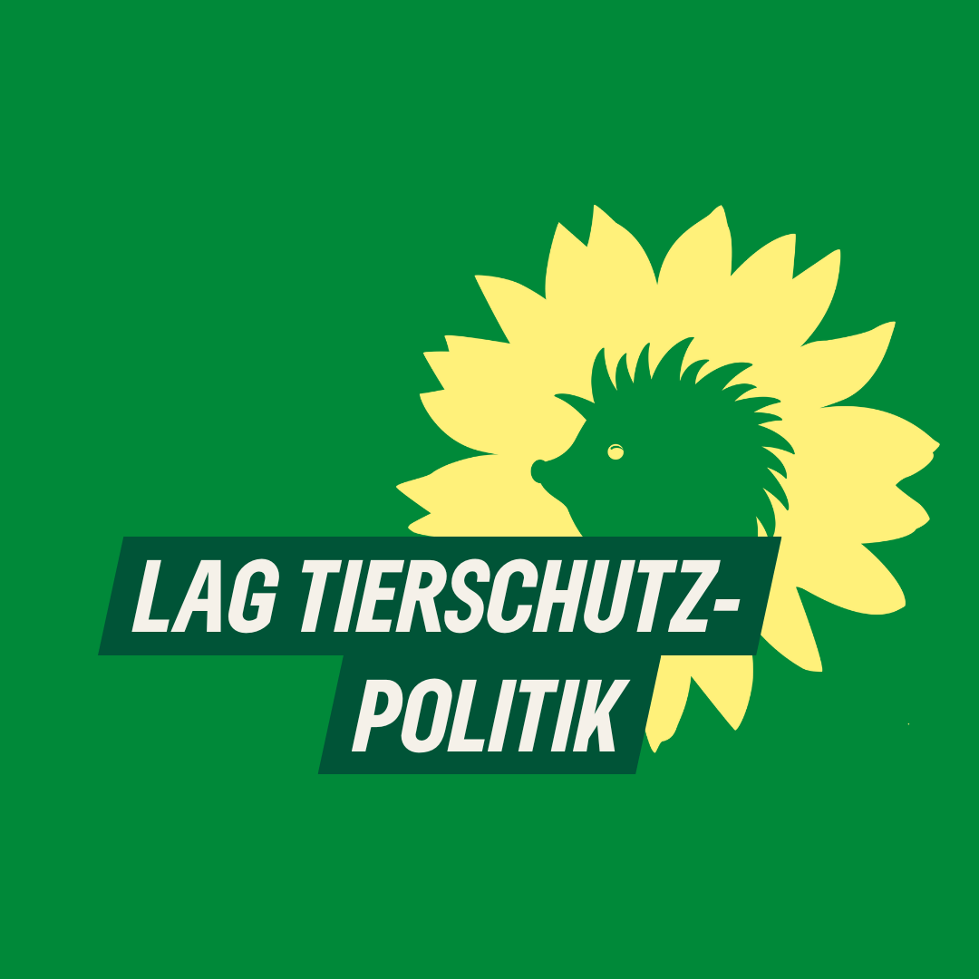 Auf kleegrünem Hintergrund der Text "LAG Tierschutzpolitik" sowie der Sonnenigel als Bildmarke von B'90/GRÜNE in Berlin.