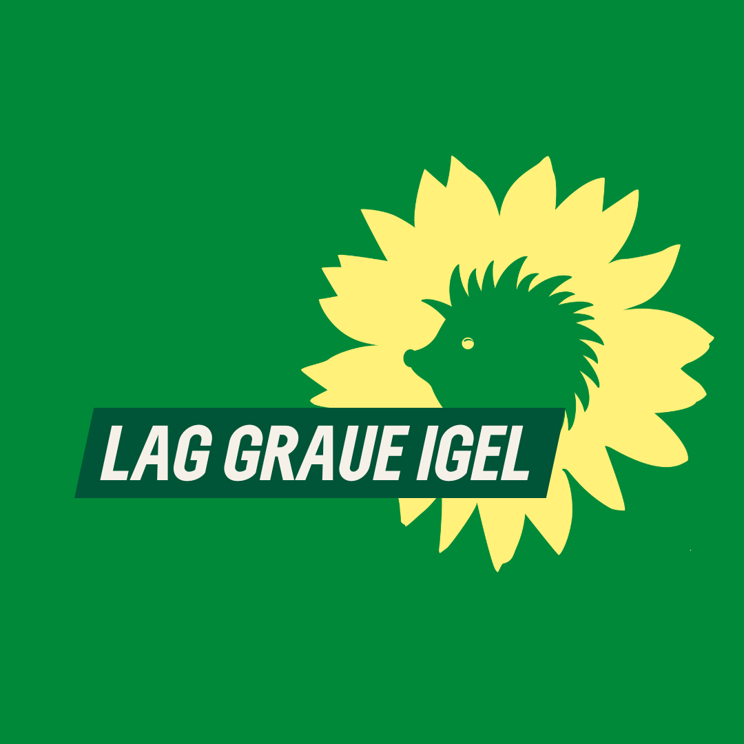 Auf kleegrünem Hintergrund der Text "LAG Graue Igel" sowie der Sonnenigel als Bildmarke von B'90/GRÜNE in Berlin.