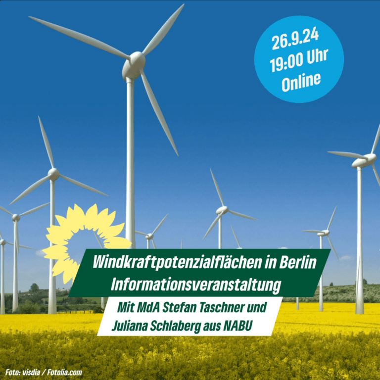 Informationsveranstaltung “Windkraftpotenzialflächen in Berlin” mit Stefan Taschner  (MdA) und Juliana Schlaberg (NABU)