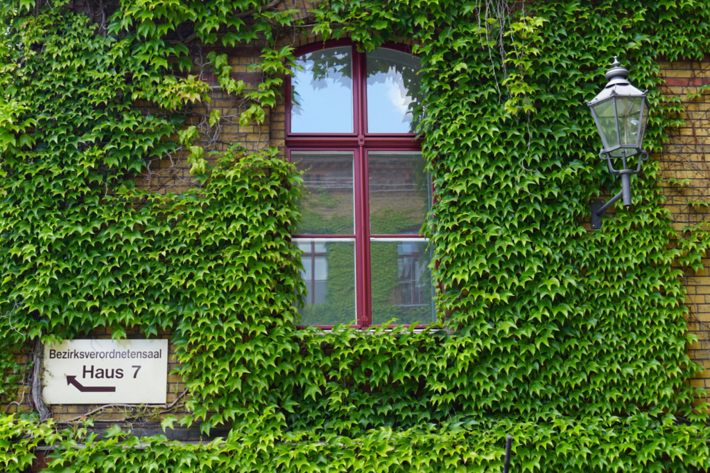 Eine grün berankte Wand mit einem Fenster und einer Straßenlaterne, außerdem ein Schild "Bezirksverordnetensaal – Haus 7"