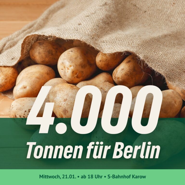 Kartoffeln für Karow